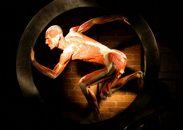 gunther-von-hagens