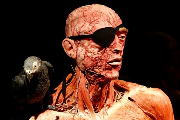 gunther_von_hagens_exhibition07