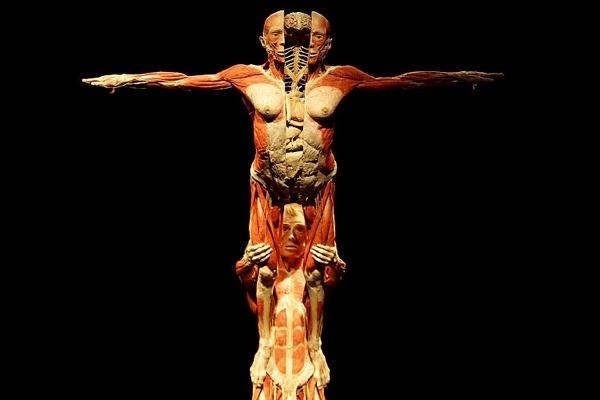 gunther_von_hagens_exhibition01