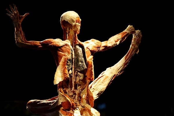 gunther_von_hagens_exhibition04