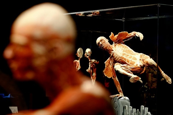 gunther_von_hagens_exhibition06