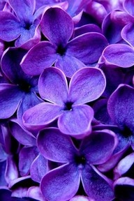 ddd46e88b8da995b383548b2de4b1f65_m