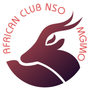 Африканский клуб НСО МГИМО  African Club MGIMO