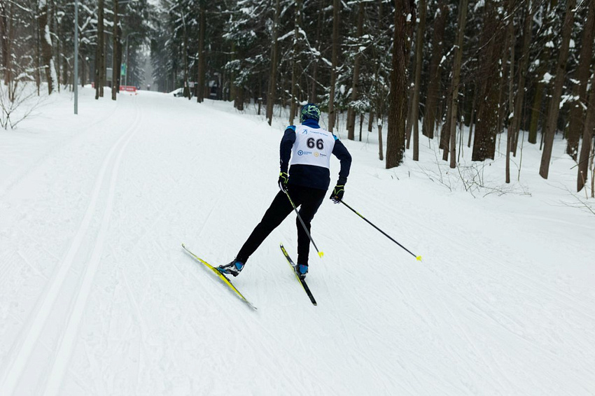 ski-2024-11